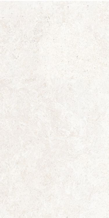 OL Limestone Bianco Matte 12 x 24